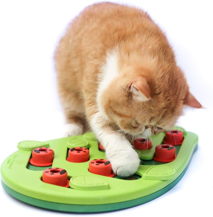 Catstages by Nina Ottosson Buggin' Out Puzzle & Play - Interactive Cat Treat Puzzle