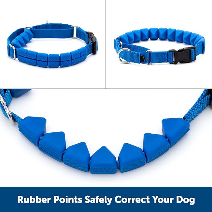 PetSafe Soft Point Training Collar - Helps Stop Pulling - Safer Than Prong or Choke Collars - Teaches Better Leash Manners - No Pull Training Collar with Rubber Points for Dogs - Large, Blue