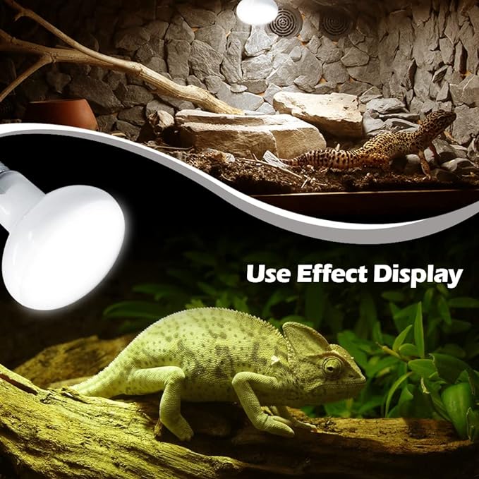 2 Pack 50W Reptile Heat Lamp Bulb Amphibian Basking Light Bulb, Reptile Daylight Bulb for Turtle, Bearded Dragon, Lizard,Chicken with Stick-on Digital Temperature Thermometer