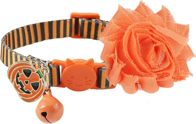 Fall Cat Collar with Bell and Pumpkin Charm