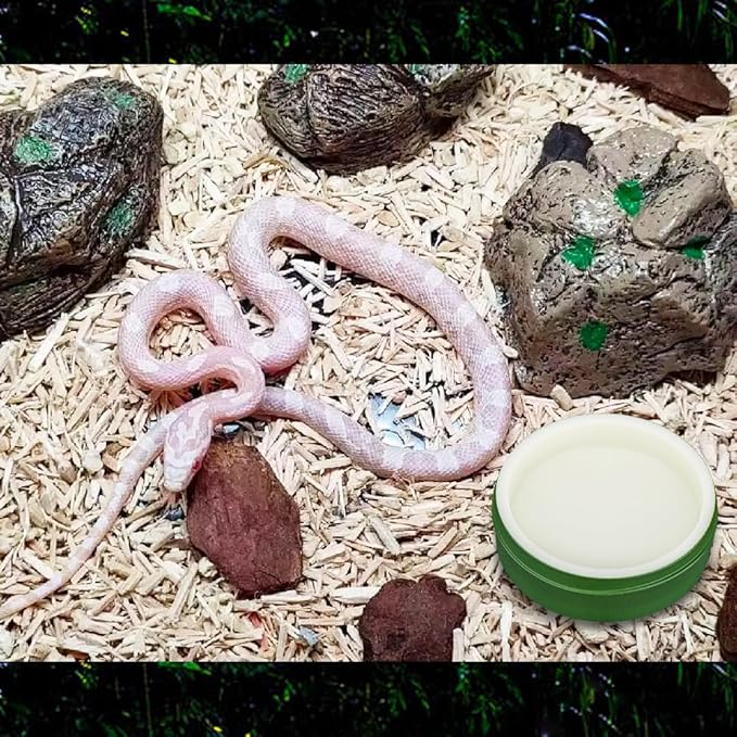 2 Pack Lizard Feeding Bowl Corn Snake Dish Lizard Frog Scorpion Corn Snake Reptiles