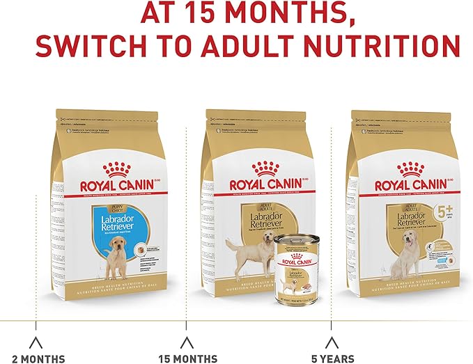 Royal Canin Labrador Retriever Adult Breed Specific Dry Dog Food, 17 lb. bag