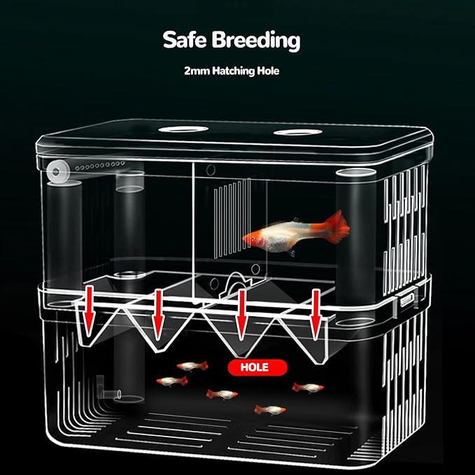 J-star Extra Large Fish Breeder Box, Acrylic Aquarium Breeder Box, Fish Isolation Box for Betta, Guppy, Killifish, Shrimp, Clownfish etc.