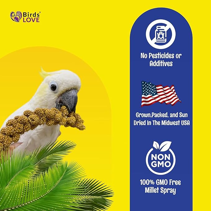 Birds LOVE Millet Tips & Tails for Birds - Parakeets, Cockatiels, Lovebirds, Finches, Budgies, Canaries, Cockatoos - Natural & Healthy Millet for Birds - Parakeet Food & Treats for All Parrots, 1lb