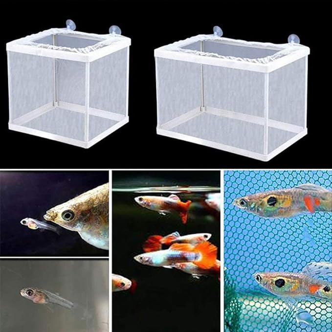 U/R Bbrand Aquarium Fish Breeder Box Fish Incubator Mesh Box Aquarium Breeding Hatchery Fish Tank Isolation Box Fish Breeder Box Young Fish Hatchery Incubator with Isolation Board (S)