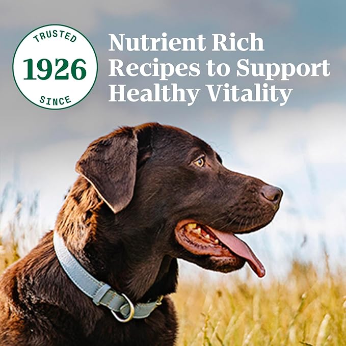 NUTRO NATURAL CHOICE Adult Dry Dog Food, Beef, Rice Recipe Dog Kibble, 28 lb. Bag