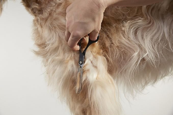 Andis Straight Shears, Right-Handed, Professional Dog and Cat Grooming