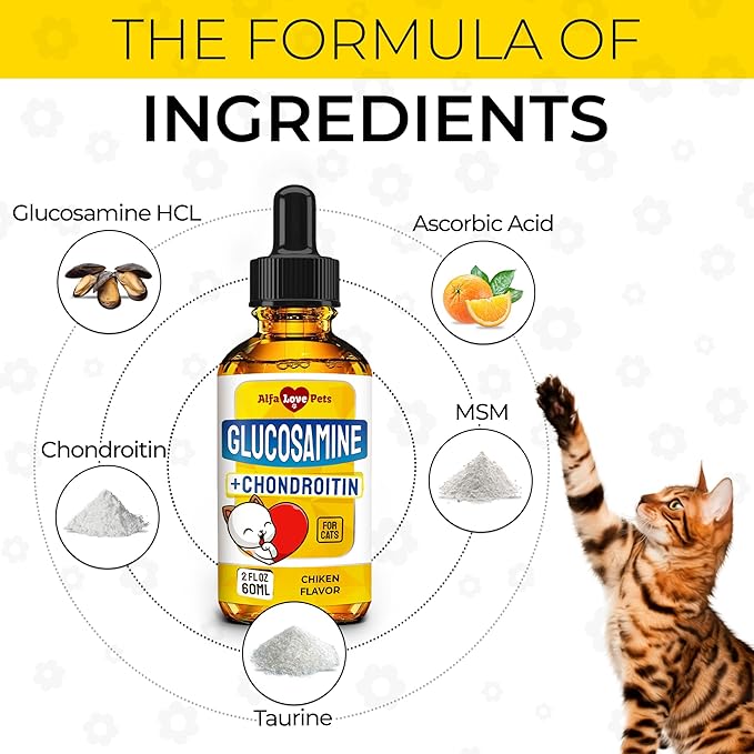 Glucosamine for Cats ✿ Cat Joint Supplement ✿ Cat Glucosamine ✿ Joint Supplement for Cats ✿ Glucosamine for Cats Liquid ✿ Glucosamine Chondroitin for Cats ✿ Chicken Flavor ✿ 2 Oz