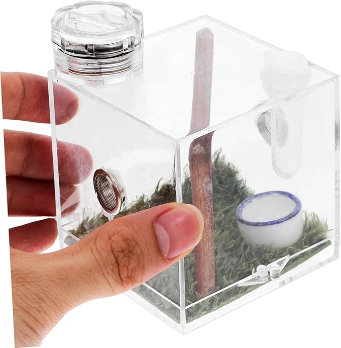 Mipcase 4pcs Box Jumping Spider Breeding Box Spider Habitat Cage Vivarium Tank Spiderling Enclosure Reptile Terrarium Lizard Terrarium Small Spider Enclosure Acrylic Wood Pet Little Spider