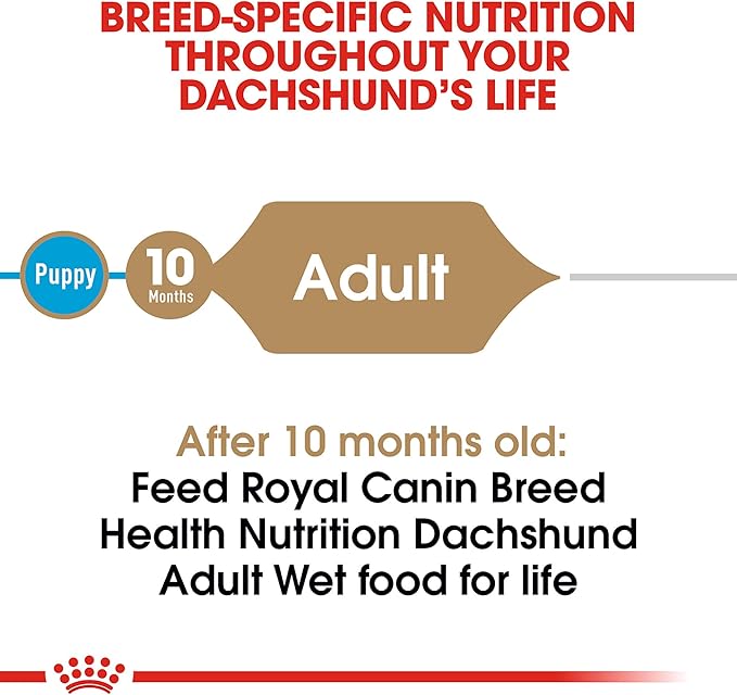 Royal Canin Breed Health Nutrition Dachshund Adult Loaf in Sauce Wet Dog Food, 3 oz can (24-Count)