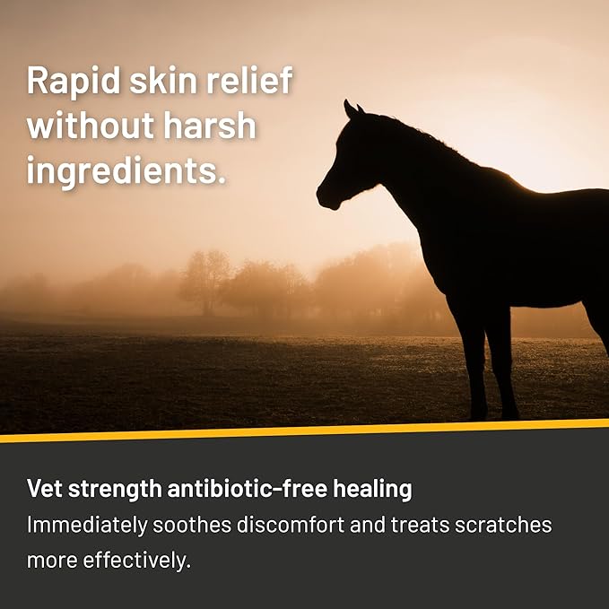 Rapid Relief 6oz Spray for Horses Only, Use on Equine Scratches / Pastern Dermatitis / Mud Fever / Dew Poisoning / Cracked Heels