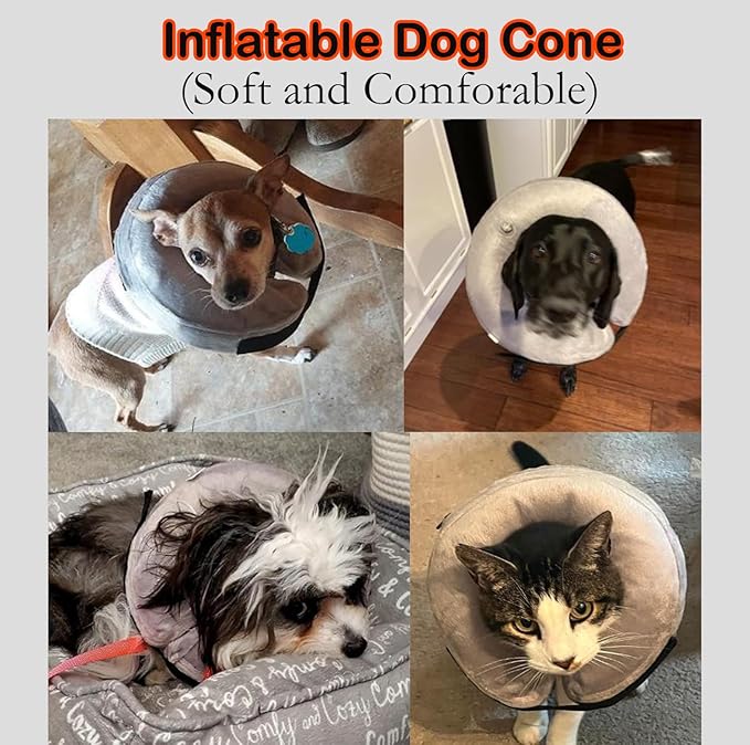 Soft Dog Cone Collar for Large Medium Small Dogs and Cats After Surgery, Inflatable Dog Neck Donut Collar,Inflatable Cat Cone Collar,E-Collar for Dogs Recovery, Dog Cones Alternative (Medium, Grey)