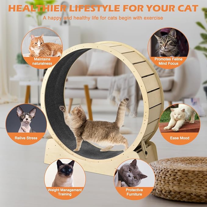 Cat Wheels for Indoor Cats, One Fast Cat Exercise Wheel Indoor, Cat Running Wheel, XLarge Cat Treadmill Wheel for Kitty, Low-Noise, Cat Wheel Exerciser, for Fitness Weight, Natural Wood (XL)