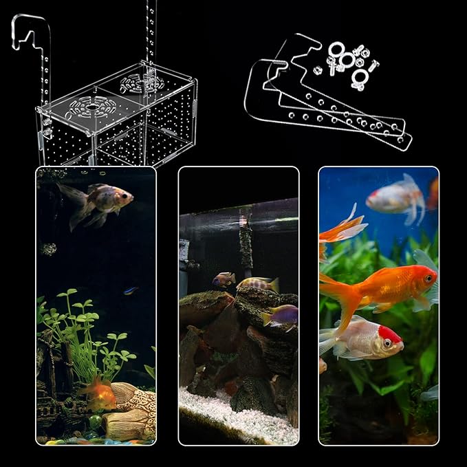 Acrylic Aquarium Fish Breeding Box, Medium Fish Isolation Box Tank for Baby Fish Shrimp Guppy Newborn Fry Shrimp Clownfish Aggressive Fish, Transparent Divider Box with Suction Cups