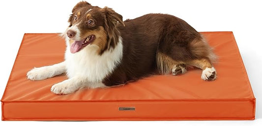 Lesure Waterproof Dog Bed for Medium Dogs - Outdoor Dog Bed with Oxford Fabric Surface, Medium Egg Orthopedic Foam Pet Bed with Removable and Durable Cover, Machine Washable