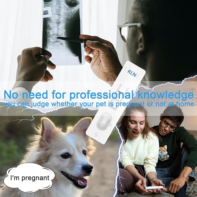 Pet Dog Pregnancy Test Paper,Canine RLN Early Pregnancy Test Kit, Simple Operation for Early Pregnancy Detection Yourself at Home, Pet Pregnancy Test Complete Tool Kit (1PCS)