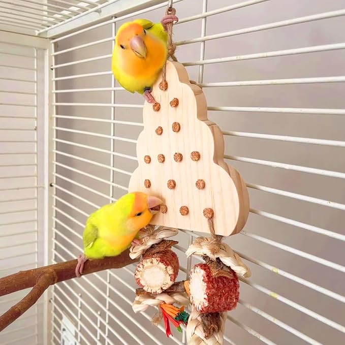 Conure Toys, Bird Shredder Foraging Toys Parakeet Chewing Hanging Toy Bird Toy for Lovebird Cockatiel Parakeet Conure Budgie Parrotlets