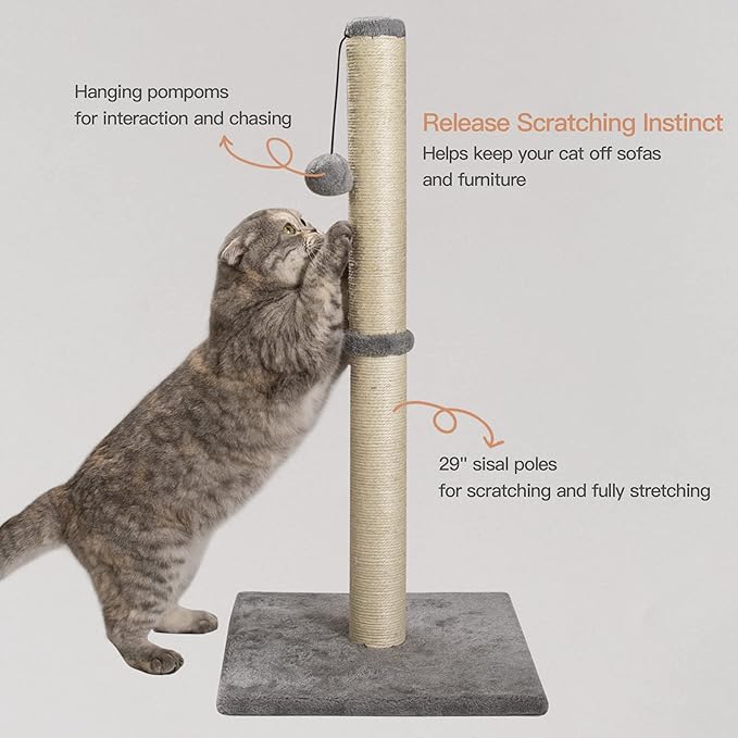 29 Inches Cat Scratching Post, Cat Scratch Post Kitten Scratcher with Sisal Rope, Scratching Post for Indoor Cats with Hanging Ball