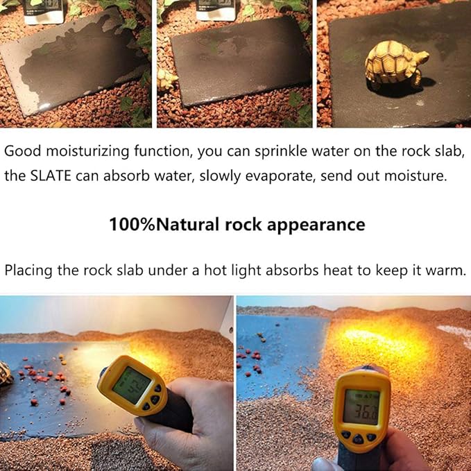 Tfwadmx Reptile Basking Platform Large Tortoise Feeding Bathing Area Turtle Original Rock Plate Grinding Nails Resting Terrace Habitat Decor for Amphibian Reptile Bearded Dragon Chameleon Snake