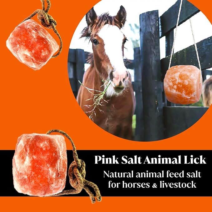 Natural Rock Lick for Deer, Horse, Cows and Livestock - 100% Organic Rock Salt Lick on Ropes