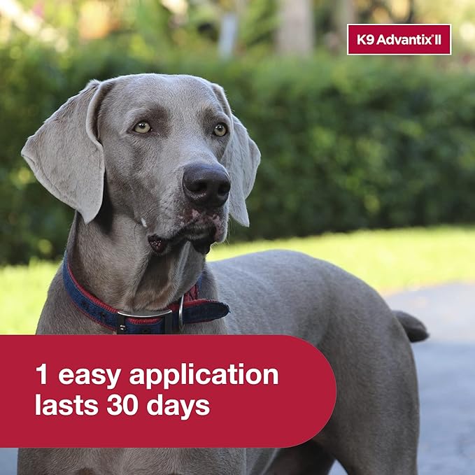 K9 Advantix II XL Dog Vet-Recommended Flea, Tick & Mosquito Treatment & Prevention | Dogs Over 55 lbs. | 8-Mo Supply