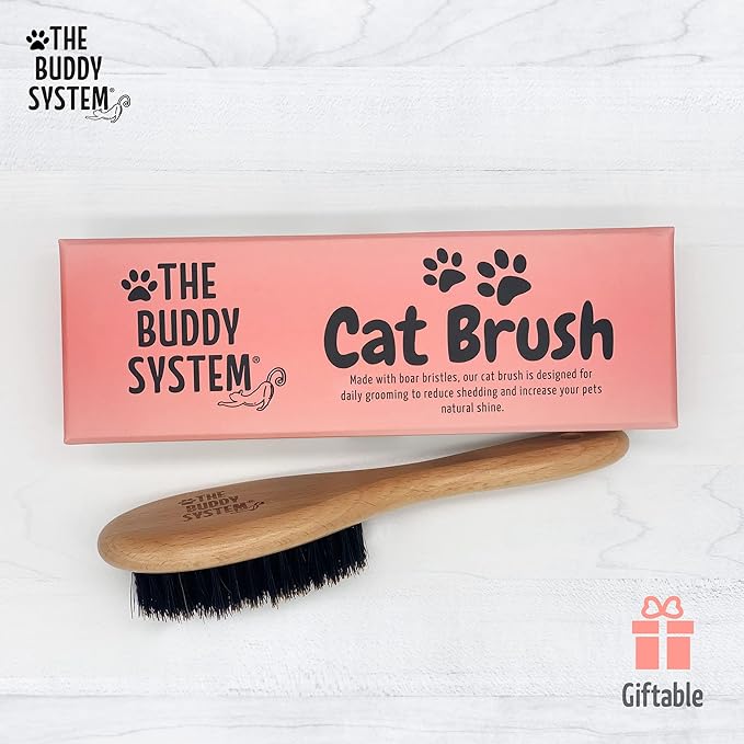 The Buddy System Cat Brush with Boar Bristle and Wooden Handle, Professional Grade Daily Grooming Hairbrush, Reduce Shedding, Soft Hair and Healthy Shine (2 Pack)