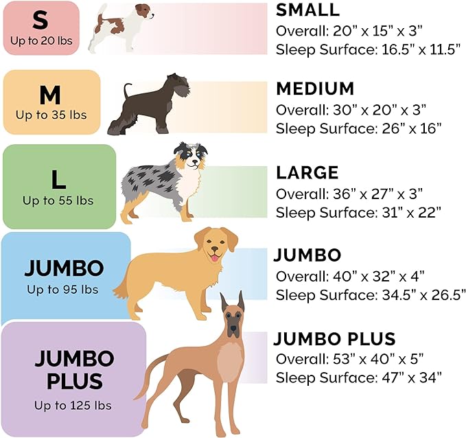 Furhaven Memory Foam Dog Bed for Medium/Small Dogs w/ Removable Bolsters & Washable Cover, For Dogs Up to 35 lbs - Plush & Velvet Waves Perfect Comfort Sofa - Celadon Green, Medium