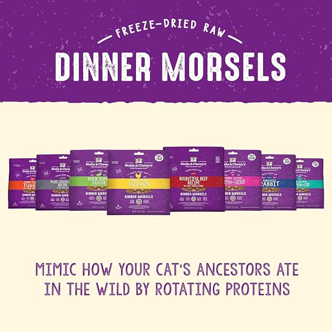 Stella & Chewy's Freeze-Dried Raw Cat Dinner Morsels – Grain Free, Protein Rich Cat & Kitten Food – Plate Lickin' Pork Recipe – 8 oz Bag