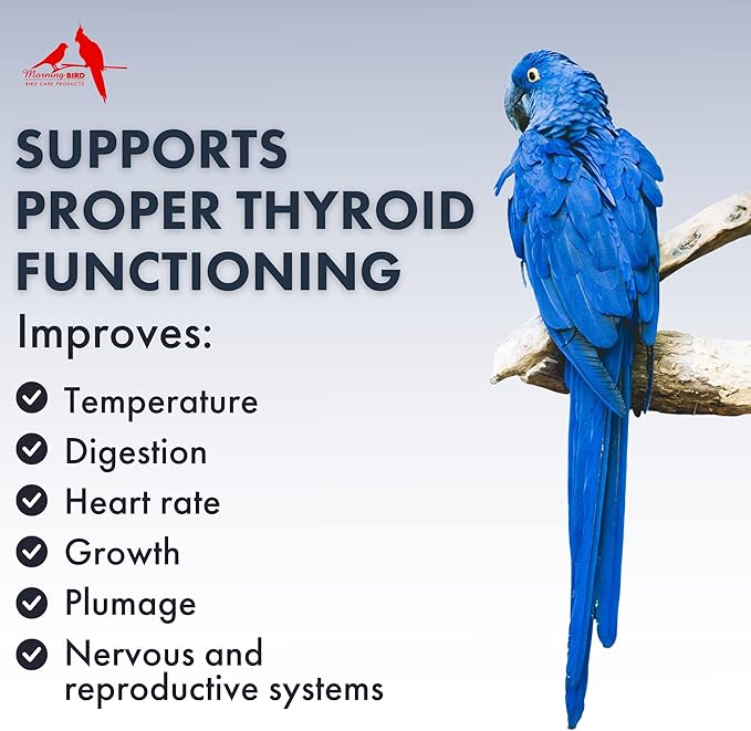 Morning Bird Powdered Kelp Birds Supplement, Iodine Dietary Supplement with Vitamins, Minerals and Amino Acids for Birds
