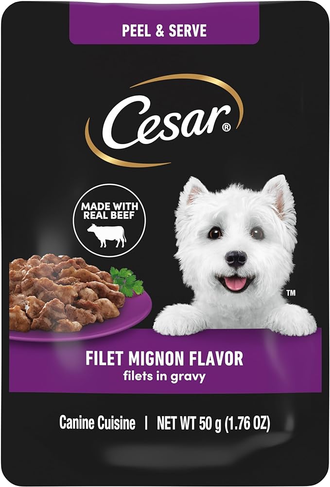 Cesar Filets in Gravy Wet Dog Food Filet Mignon Flavor, 1.76 oz. Mini-Pouch, 20 Pack