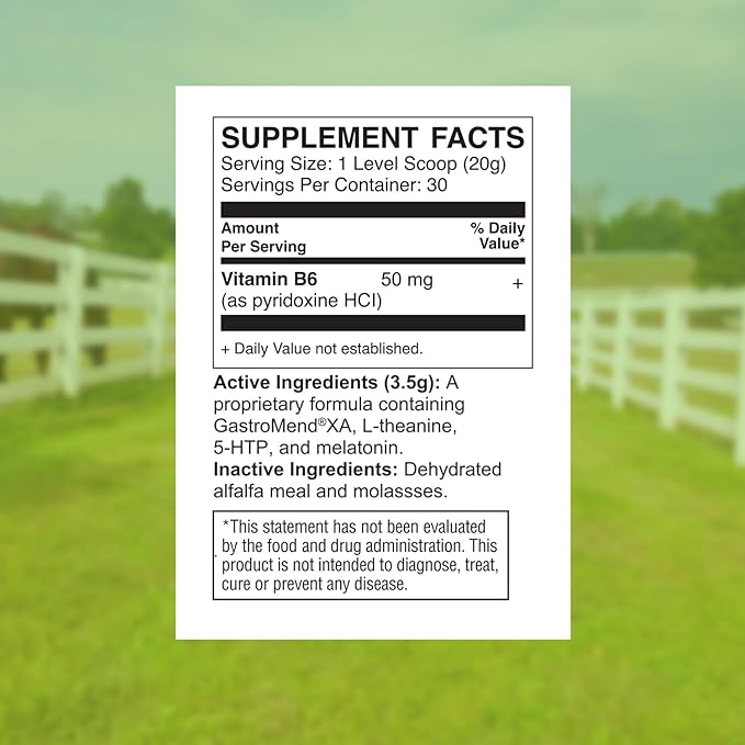 G-Chill All-Natural Digestive Health Support for Horses - 30 Servings - Promotes Stomach & Hindgut Health, Aids in Gastric Ulcer Relief, Enhances Collagen & Fibronectin Production for Tissue Repair