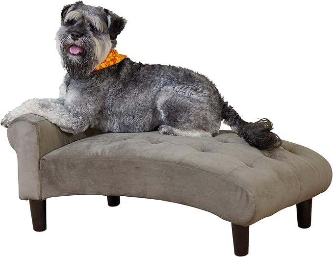 Paws & Purrs Modern 21" Wide Pet Chaise Lounge Bed for Small to Medium Dog or Cat