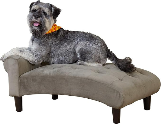 Paws & Purrs Modern 21" Wide Pet Chaise Lounge Bed for Small to Medium Dog or Cat