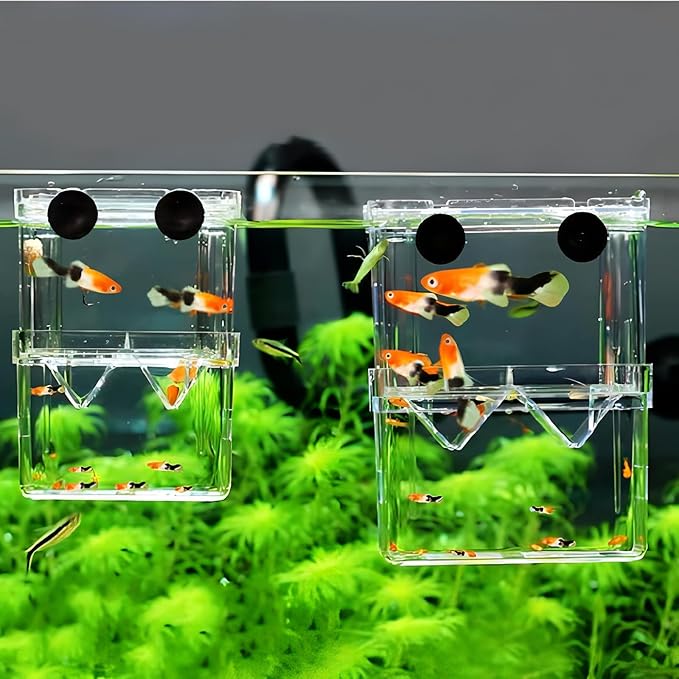 in-Tank Aquarium Breeder Box for Fish Tank, Breeding Incubator for Small Fish Hatchery, Acrylic Divider for Shrimp Clownfish Aggressive Fish Injured Fish (Small)