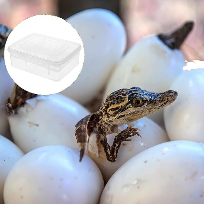 4pcs 16 Grids Reptiles Eggs Incubator Tray - Transparent Reptile breeding Incubator, Crawling Pet Breeding Tank for Snake, Lizards Incubator Supplies