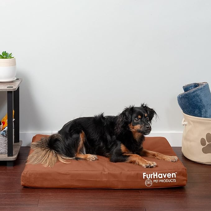 Furhaven Water-Resistant Memory Foam Dog Bed for Medium/Small Dogs w/ Removable Washable Cover, For Dogs Up to 35 lbs - Indoor/Outdoor Logo Print Oxford Polycanvas Mattress - Chestnut, Medium