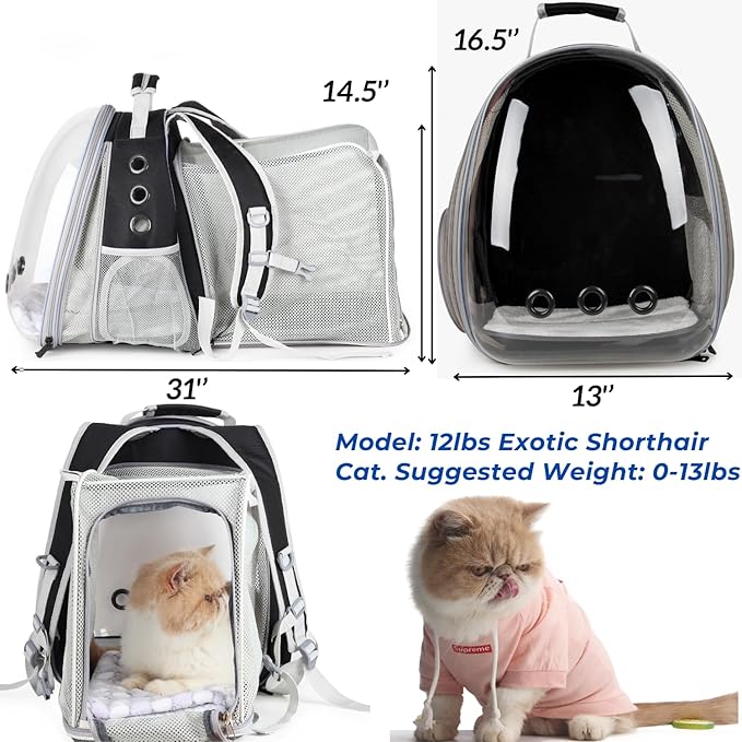 LOLLIMEOW Pet Carrier Backpack, Bubble Backpack Carrier, Cats and Puppies,Airline-Approved, Designed for Travel, Hiking, Walking & Outdoor Use (Dual Expandable-Black)