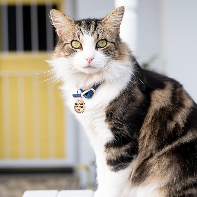 MYLUCKYTAG Stainless Steel QR Code Pet ID Tags Cat Tags - Pet Online Profile - Scan QR Receive Instant Pet Location Alert Email