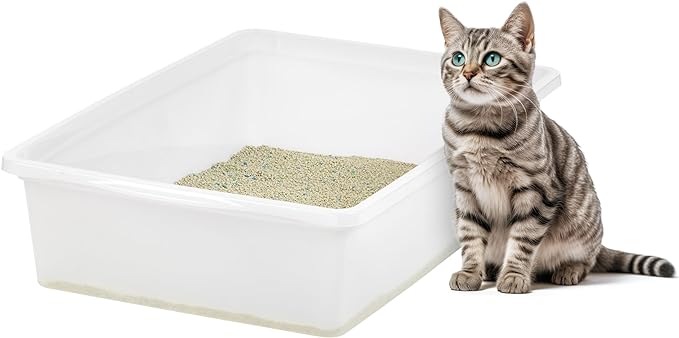 IRIS USA Large Open Top Cat Litter Box, Kitty Litter Pan, Pearl