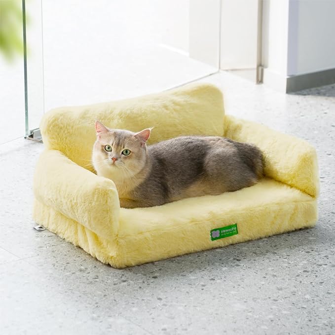 MEWOOFUN Cat Bed for Indoor Cats Orthopedic Dog Bed for Small Medium Dogs, Egg- Foam Pet Bed with Removable Washable Cover and Non-Slip Bottom (Medium, Yellow)