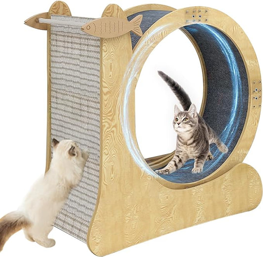 Cat Exercise Wheel Indoor with Low Noise & Install Video, 40 inch Snail-Shape Cat Running Wheel Exerciser for Indoor Cats, Scratcher & Storage Heavy Cat Treadmill with Non-slip Carpet