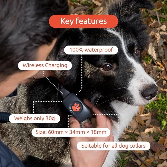 GPS Tracker for Dogs - No Subscription Fees - Suitable for All Dogs and Fits All Collars - Smart Activity Tracker, Satellite Tracking with Unlimited Range - 100% Waterproof Pet Tracker (Black)