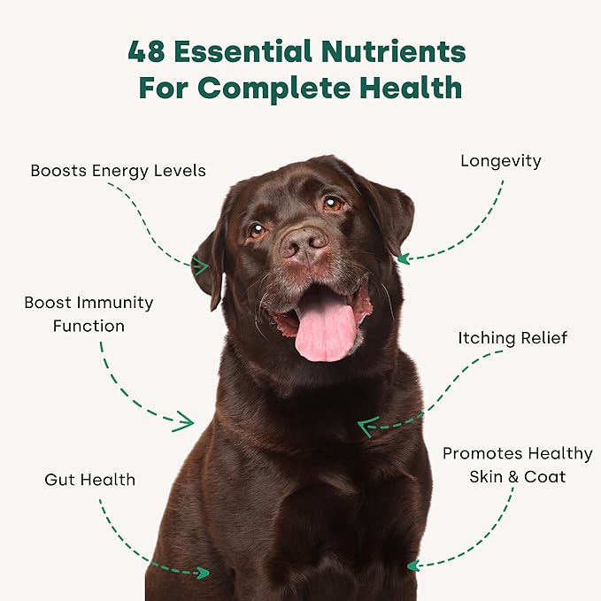 Doggie Greens - Natural Dog Vitamins & Probiotics for Dogs. No Messy Powder. includes Spirulina, Kelp & Antioxidant Berry Mix. 6-in-1 Dog Supplements & Vitamins Chews. Super Greens for Dogs.