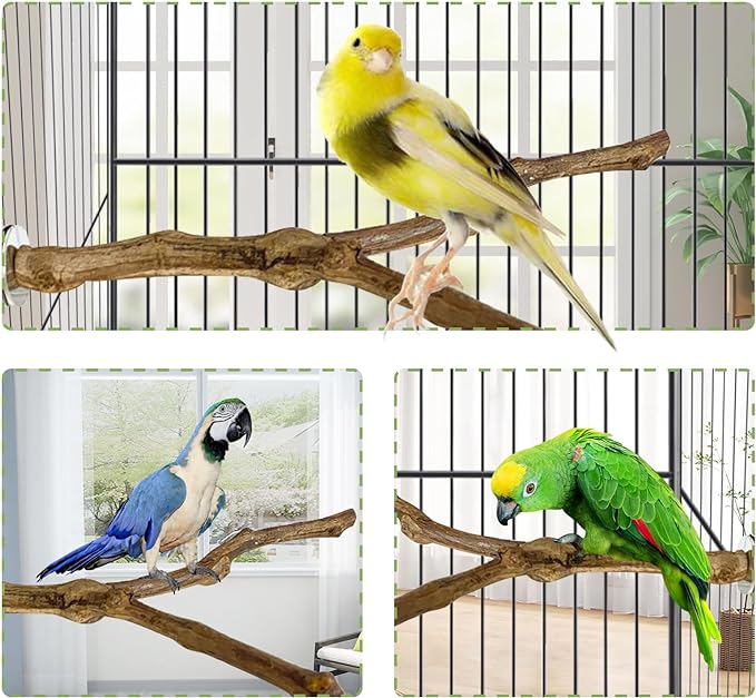 kathson Natural Parrot Perch Bird Stand Pole Wild Grape Stick Paw Grinding Fork Parakeet Climbing Standing Branches Toy Chewable Cage Accessories for Small Budgies Cockatiels Lovebirds 2PCS