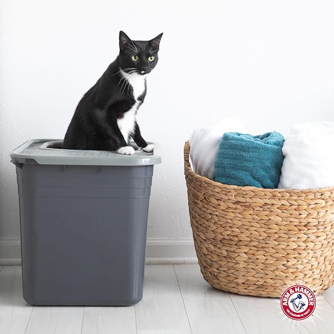 Arm & Hammer Premium Top Entry Litter Box with Filter to Clean Paws and Microban, Made in USA