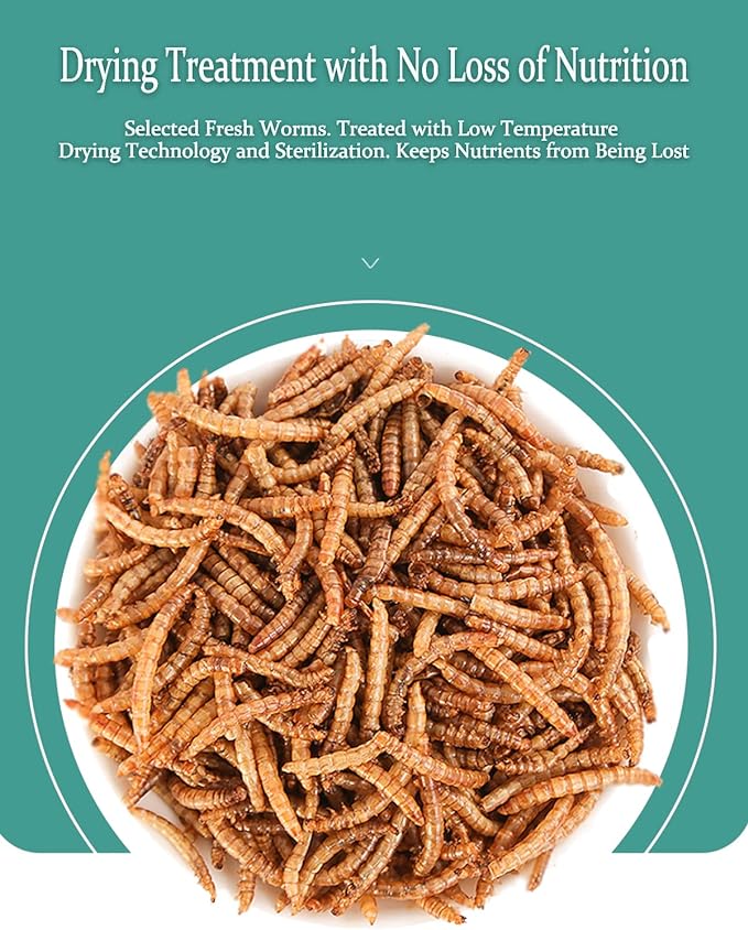 Reptile Food Dried Mealworms Pet Worms Food for Bearded Dragon, Lizard, Turtles, Chameleon, Monitor, Frog, Sugar Glider, Chickens, Birds, Hamsters and Hedgehogs (8 OZ)