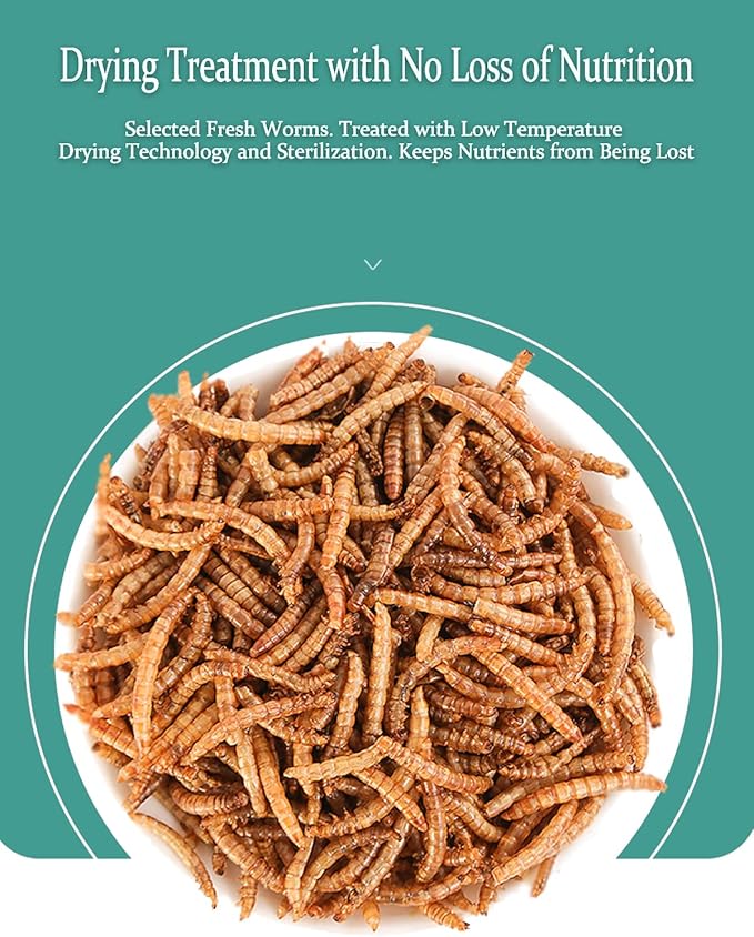 Reptile Food Dried Mealworms Pet Worms Food for Bearded Dragon, Lizard, Turtles, Chameleon, Monitor, Frog, Sugar Glider, Chickens, Birds, Hamsters and Hedgehogs (3.5 OZ)