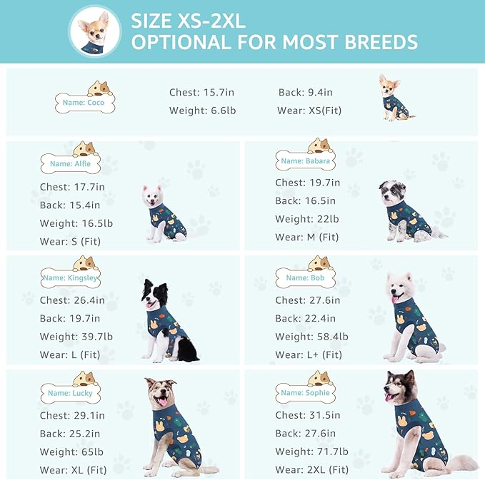 Recovery Suit for Dogs, Dog Surgery Recovery Suit with Zipper Closure Post Spay, Neuter, Abdominal Surgical Suit for Male Female Dogs Can Pee, Prevent Licking Dog Onesies, Blue Bear, 2XL