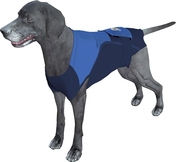 SurgiSnuggly Dog Recovery Suit Post Surgery for Dogs, Female Spay, Male Dog Neuter, The Original E Collar Dog Cone Alternative Pet Surgical Recovery Suit Works with Bandages for Wounds BB M