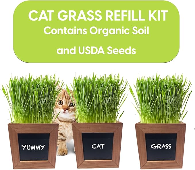 Organic Indoor Cat Grass Kit - 3 Wooden Planters, Certified Seeds, and Premium Soil for Happy Cats. Delight Your Feline Friends with The Ultimate Cat Grass Experience! (Catgrass Refill Kit)